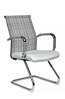 Кресло посетителя RivaChair Art RCH 6017G Сетка / Ткань cеро-белая