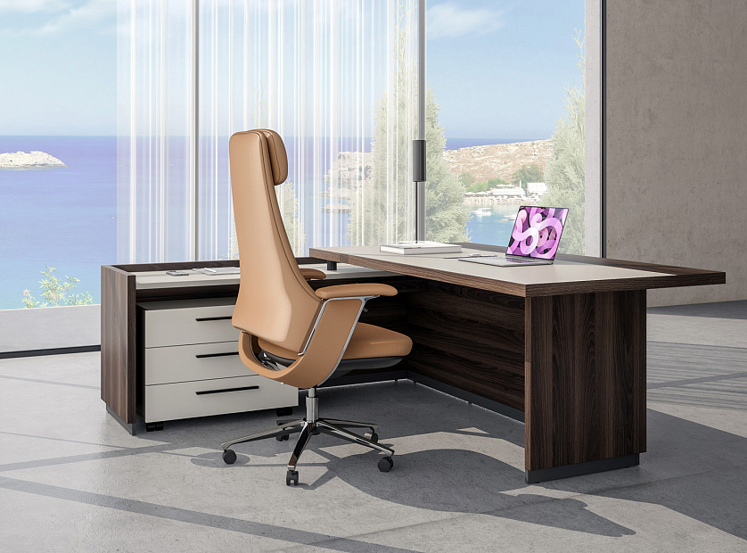 Кабинет руководителя Reef