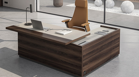 Новый современный кабинет руководителя Reef