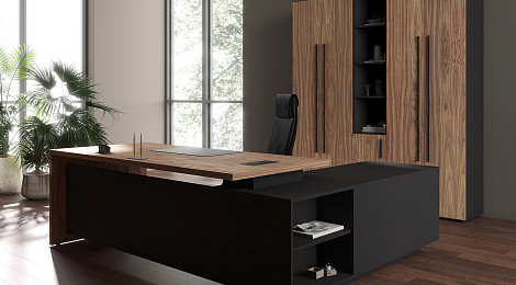 Новый кабинет Velion Veneer — воплощение гармонии