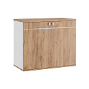 Креденция Foil TES38140221 Дуб Крафт золотой