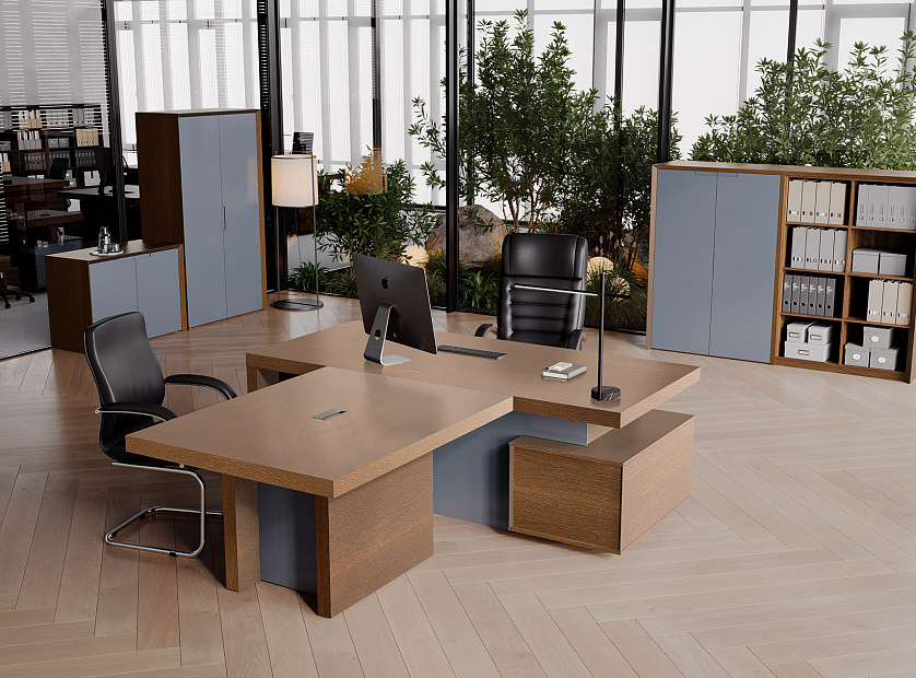 Кабинет руководителя Concept