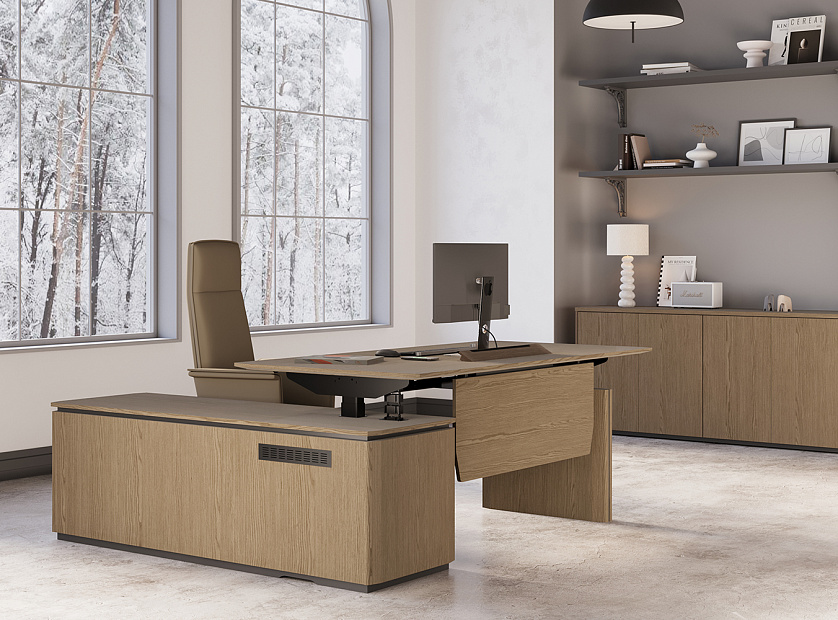 Кабинет руководителя ION