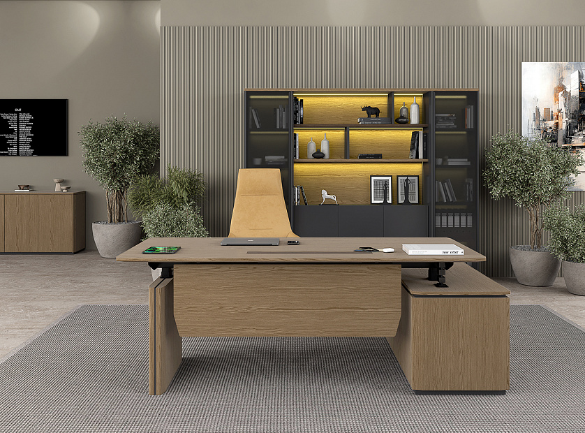 Кабинет руководителя ION