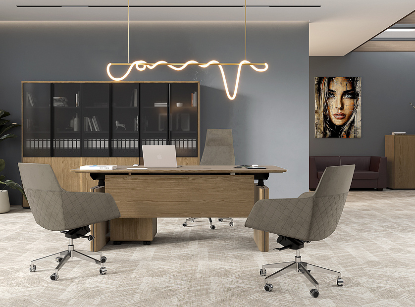 Кабинет руководителя ION