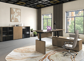 Кабинет руководителя ION