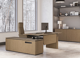 Кабинет руководителя ION