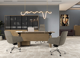 Кабинет руководителя ION