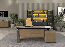 Кабинет руководителя ION