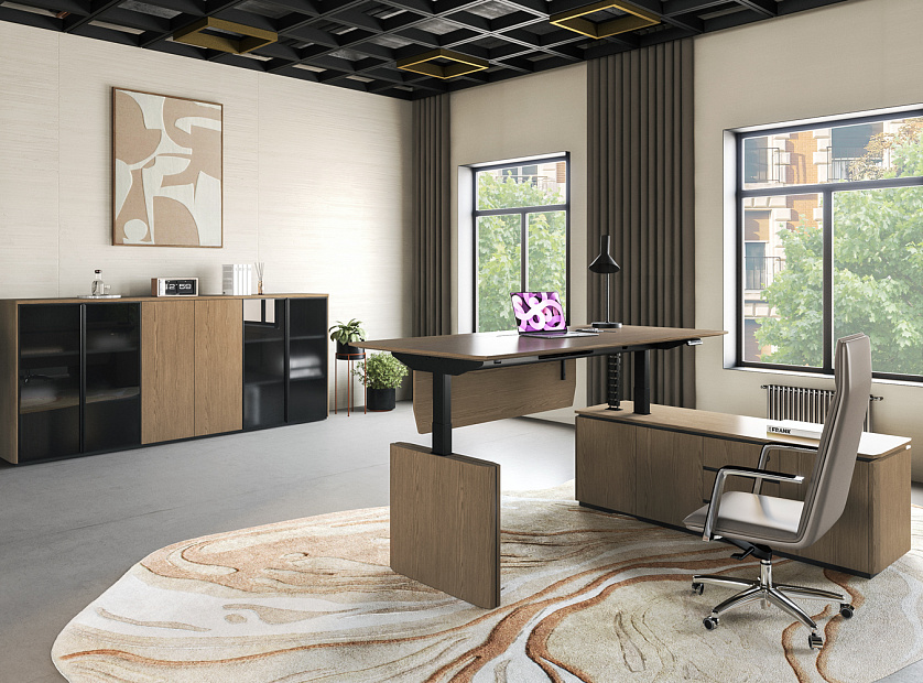 Кабинет руководителя ION