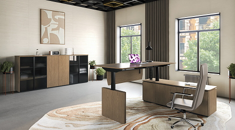 Новый кабинет ION: положительный заряд для Вашего роста