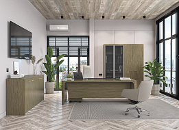 Кабинет руководителя Premium