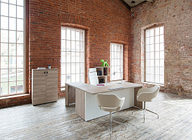 Кабинет руководителя Terra