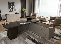 Кабинет руководителя Aston